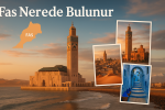 Fas Nerede Bulunur?