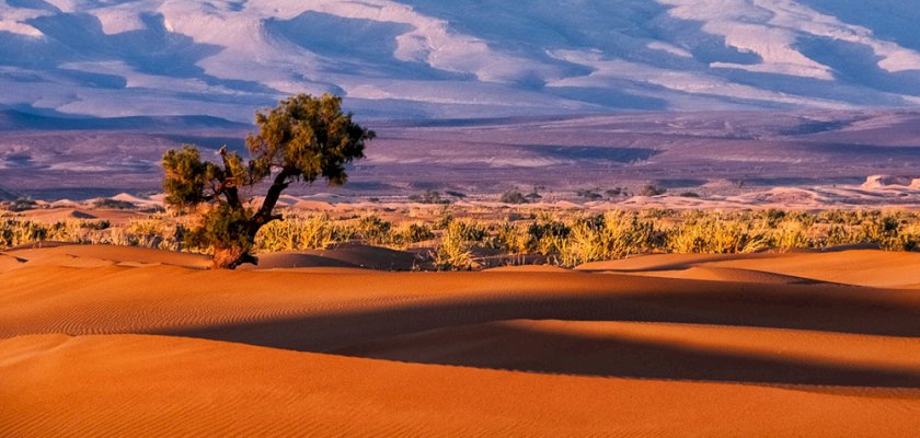 Sahara Çölü nde Unutulmaz Bir Deneyim
