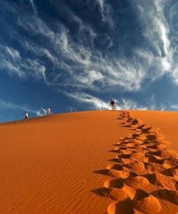 Sahra Çölü