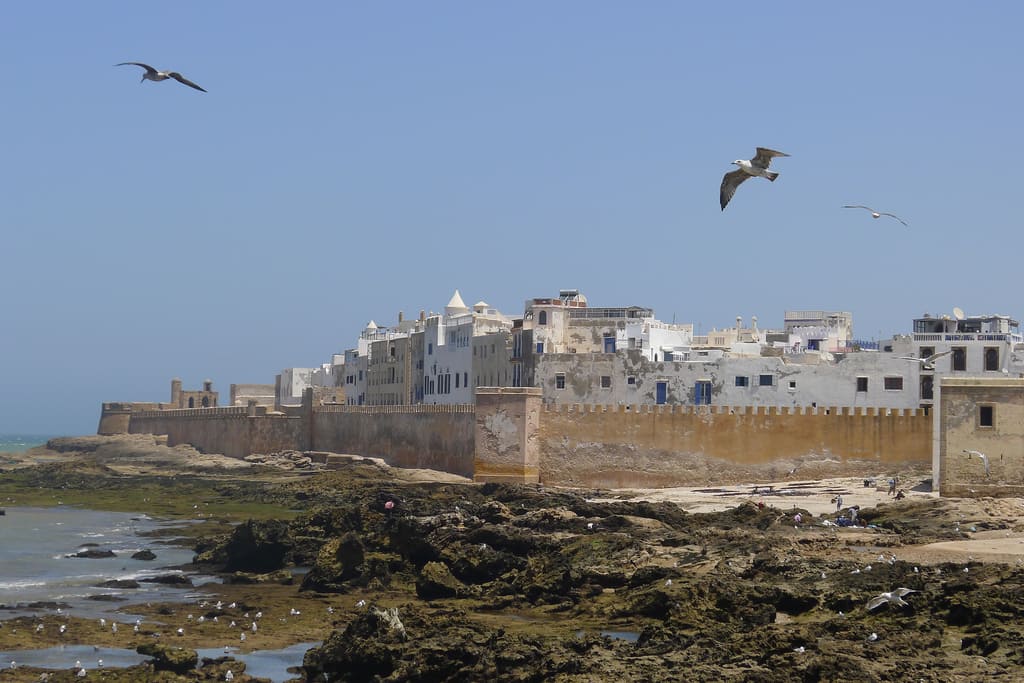 Essaouira (Suveyr) Rehberi: Fas'ın Gizli Cenneti