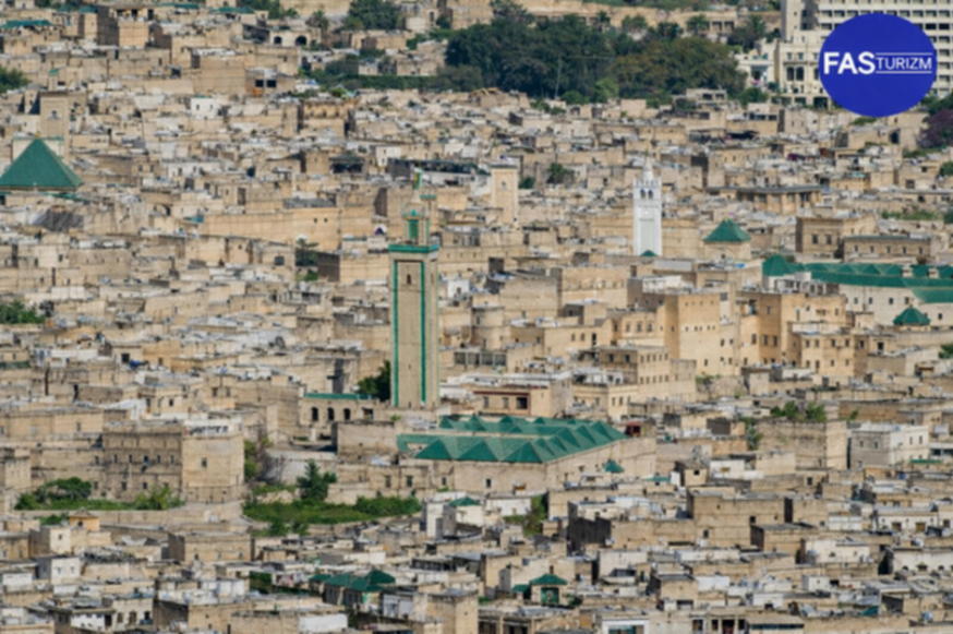 Fes Medina panorama